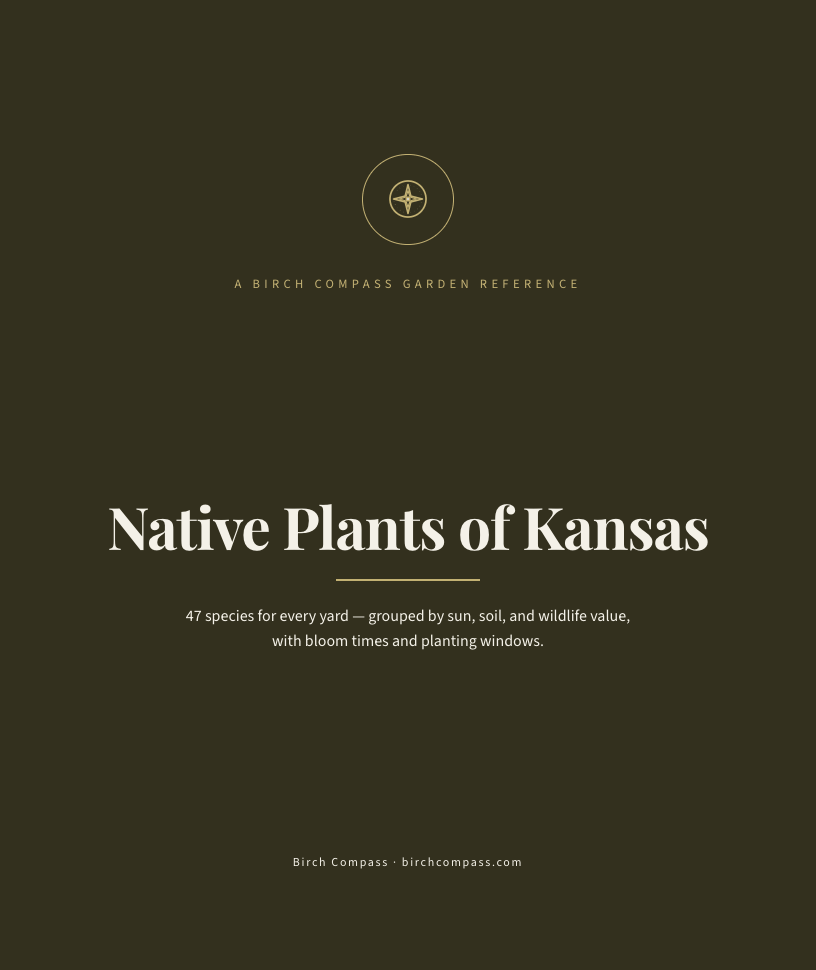 The cover of Native Plants of Kansas