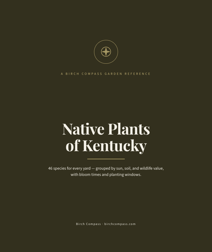 The cover of Native Plants of Kentucky