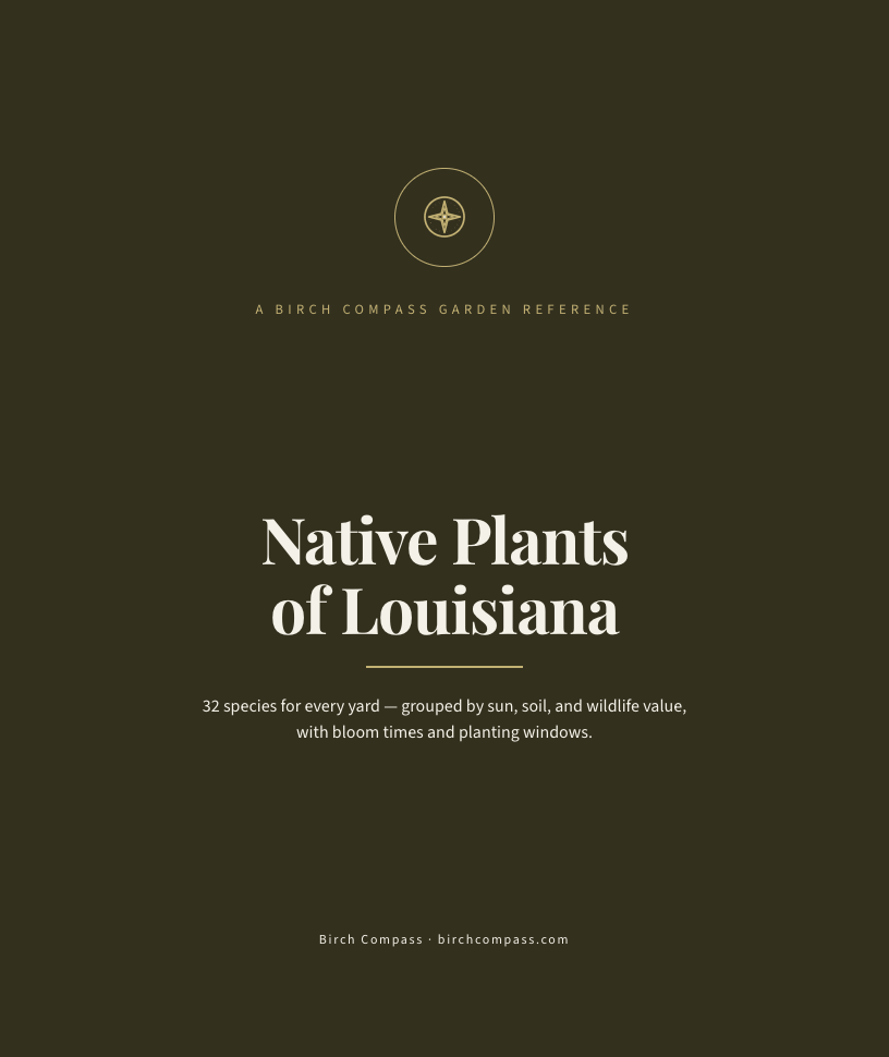 The cover of Native Plants of Louisiana