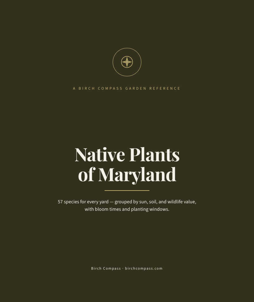 The cover of Native Plants of Maryland