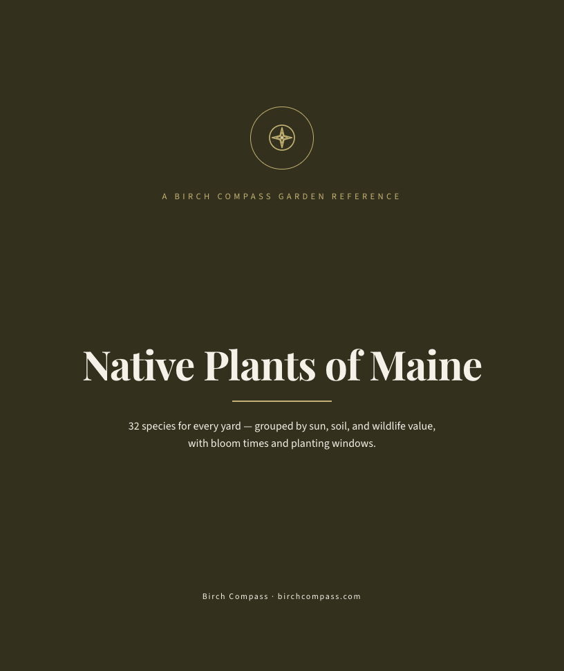 The cover of Native Plants of Maine