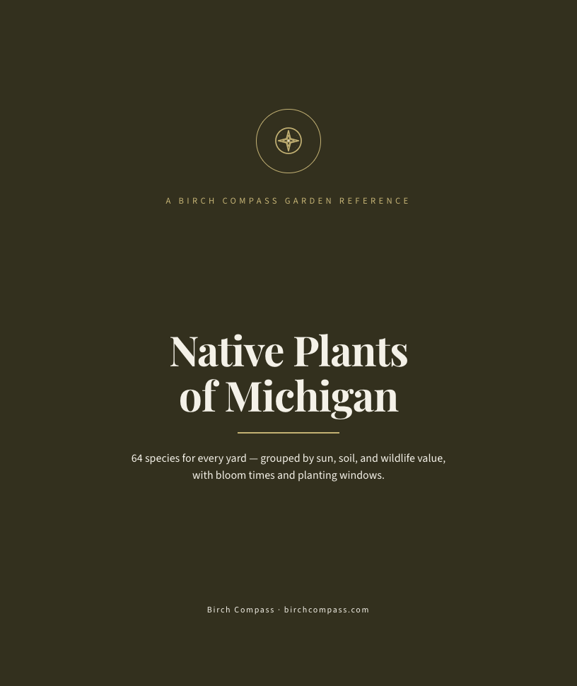 The cover of Native Plants of Michigan