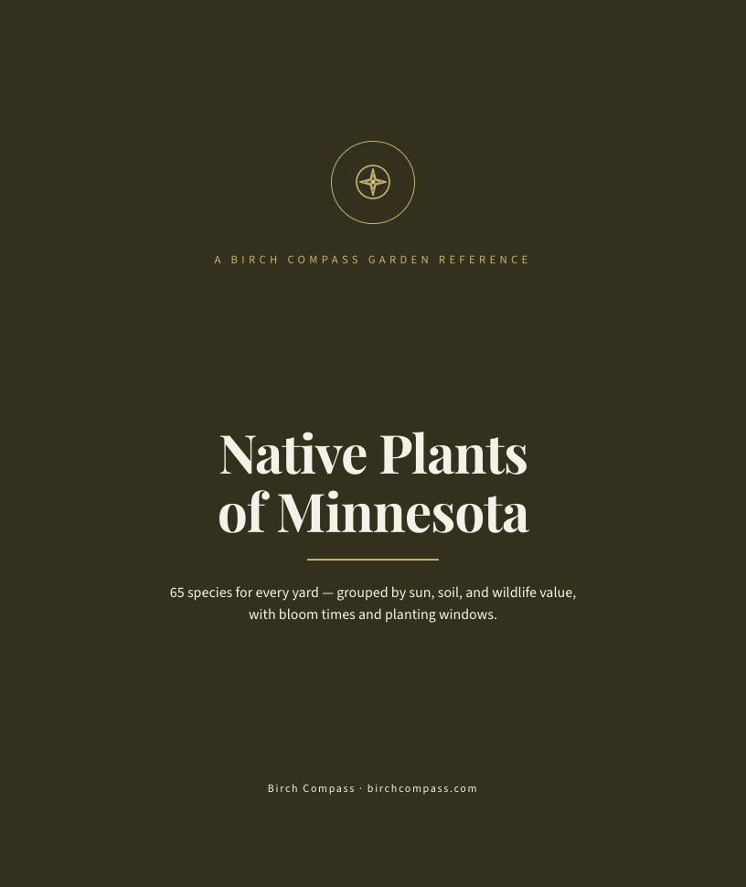 The cover of Native Plants of Minnesota