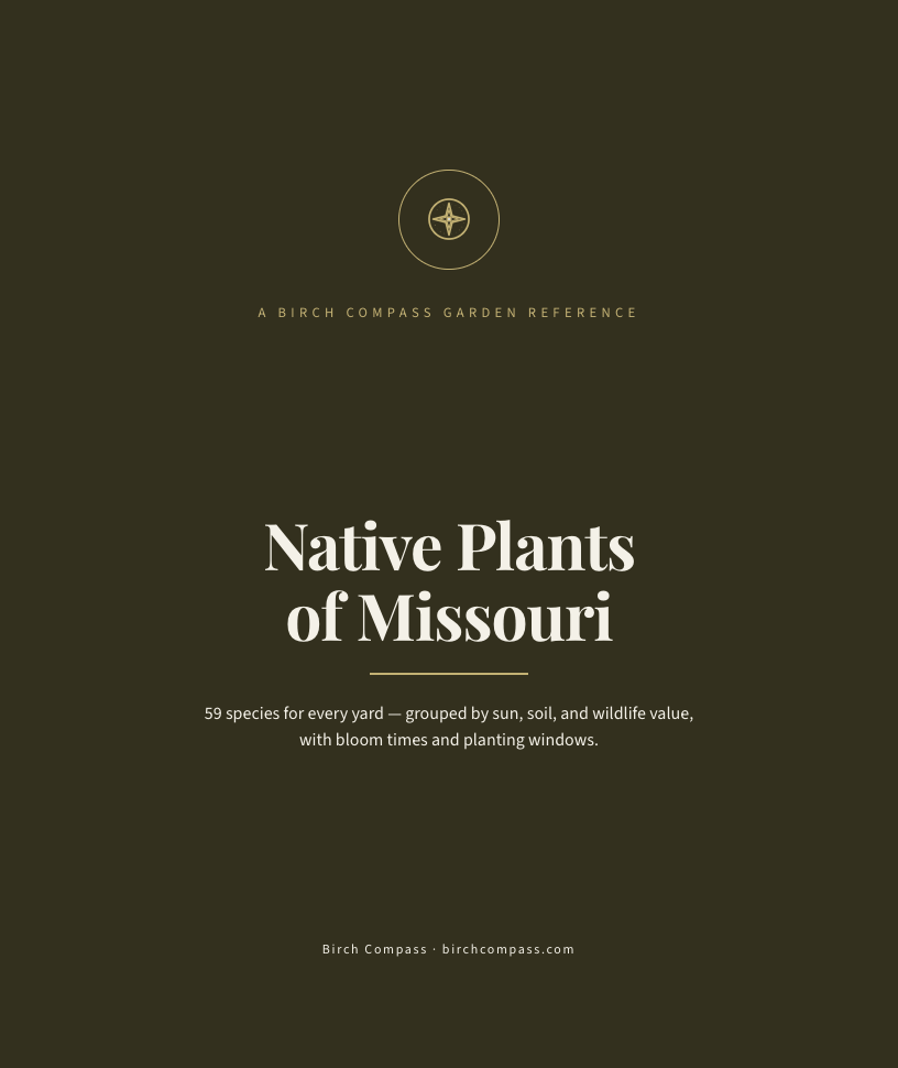The cover of Native Plants of Missouri
