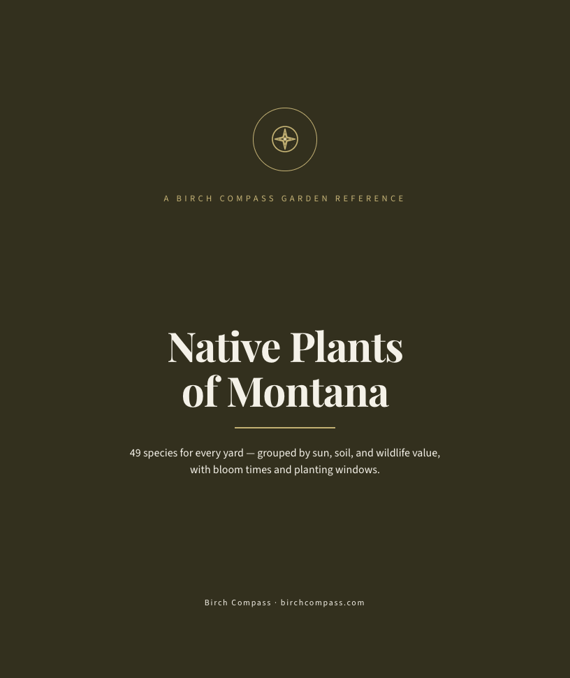 The cover of Native Plants of Montana
