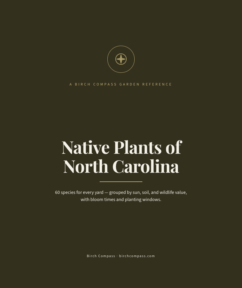 The cover of Native Plants of North Carolina