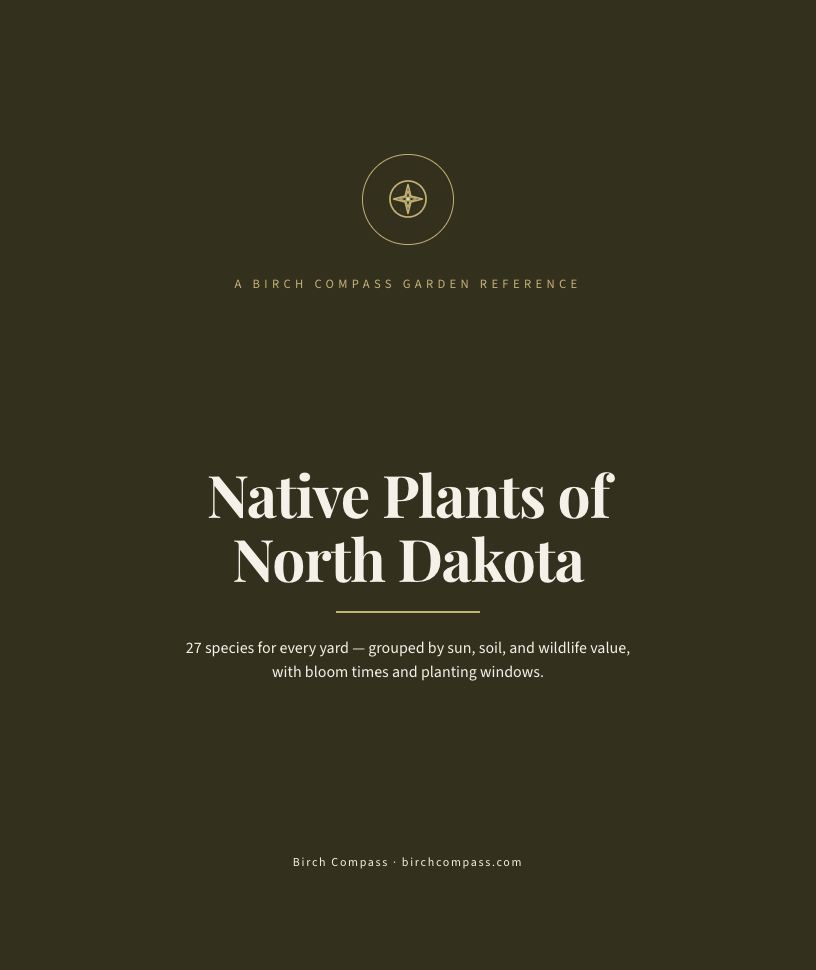 The cover of Native Plants of North Dakota