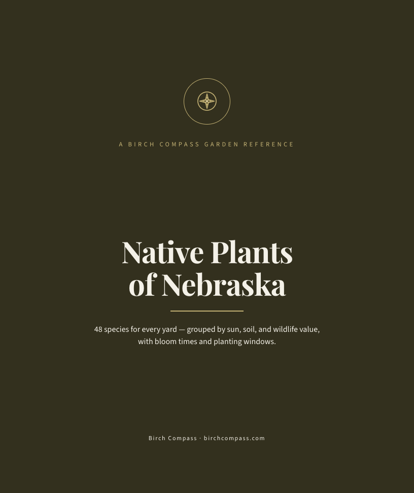 The cover of Native Plants of Nebraska