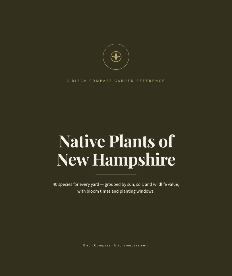 The cover of Native Plants of New Hampshire