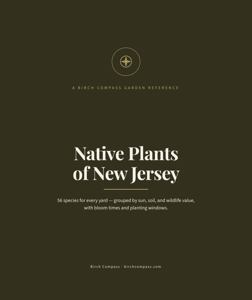 The cover of Native Plants of New Jersey