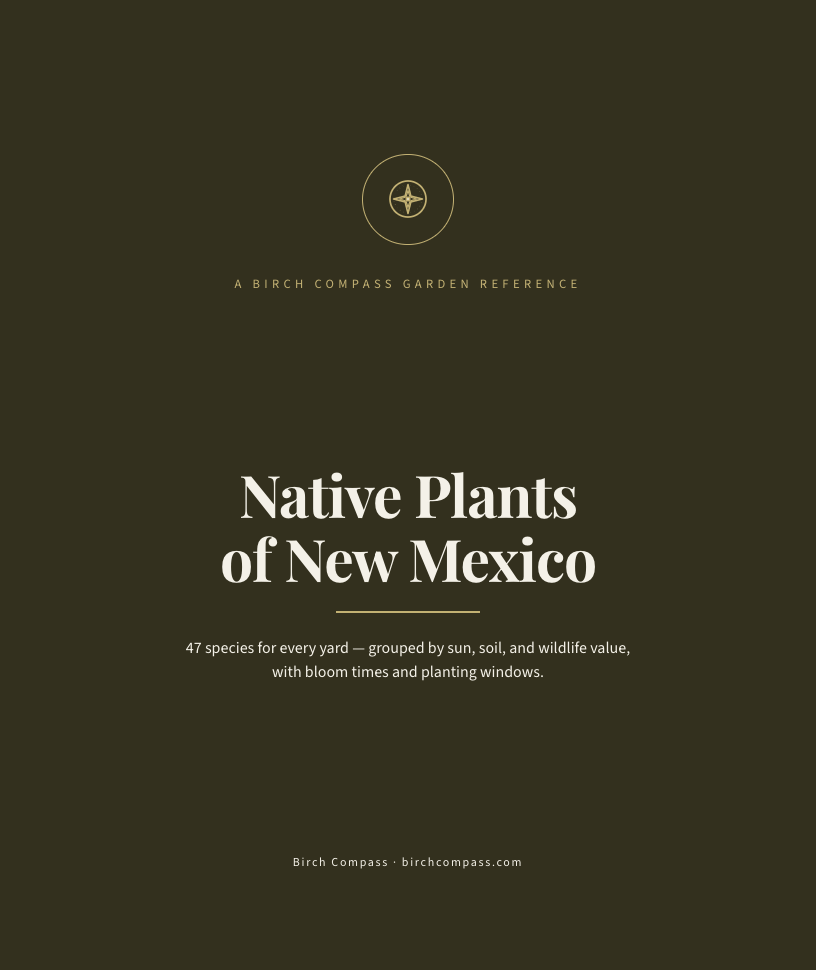 The cover of Native Plants of New Mexico