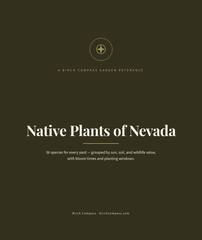 The cover of Native Plants of Nevada
