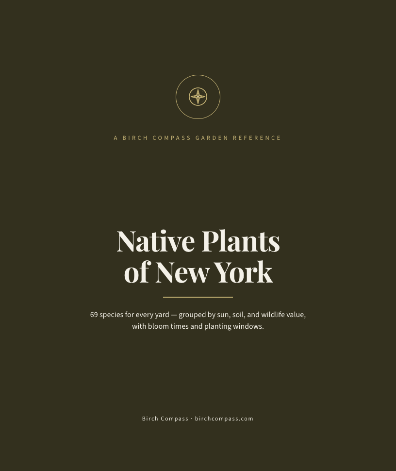 The cover of Native Plants of New York
