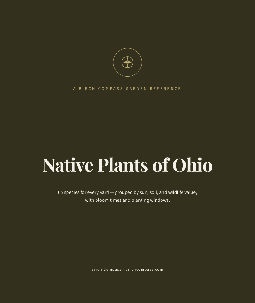The cover of Native Plants of Ohio