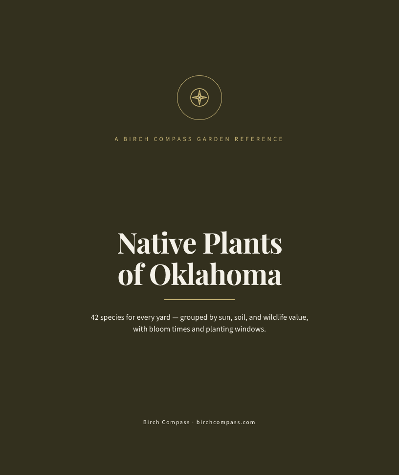 The cover of Native Plants of Oklahoma