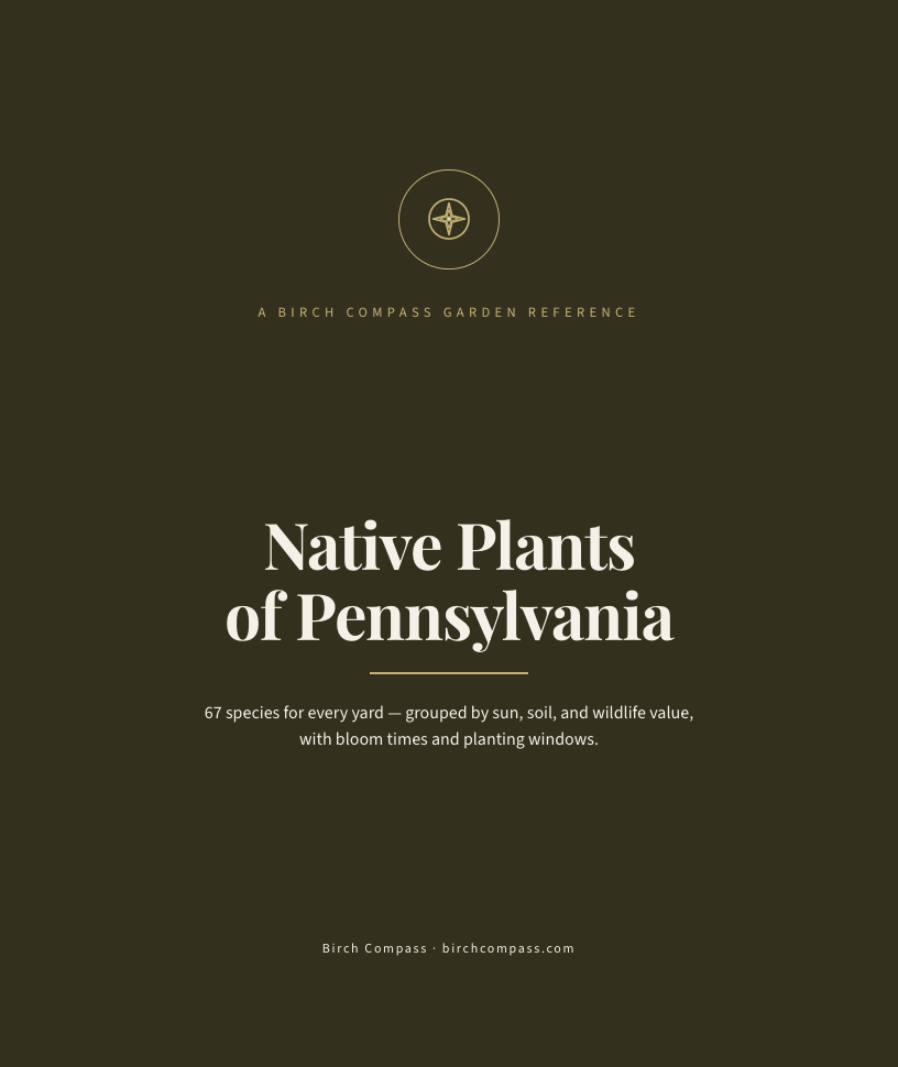 The cover of Native Plants of Pennsylvania