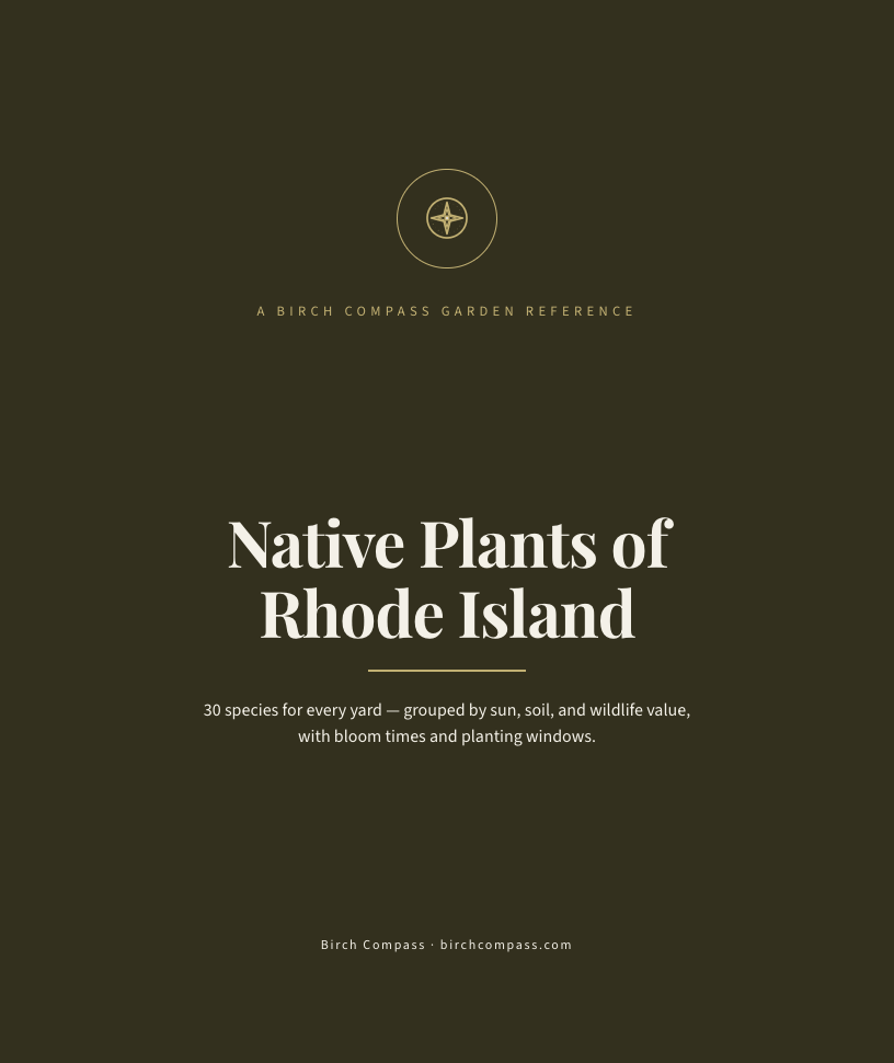 The cover of Native Plants of Rhode Island