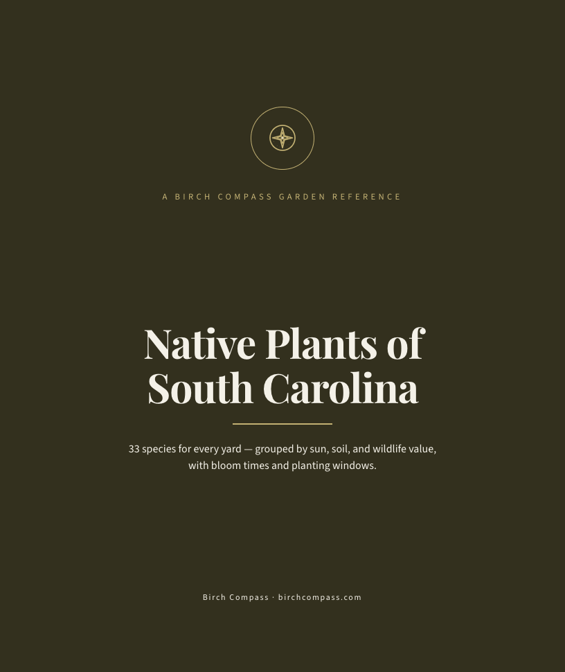 The cover of Native Plants of South Carolina