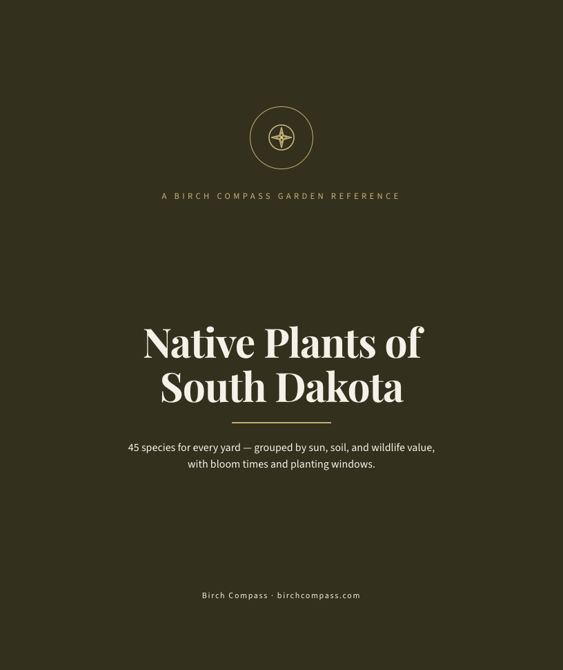 The cover of Native Plants of South Dakota