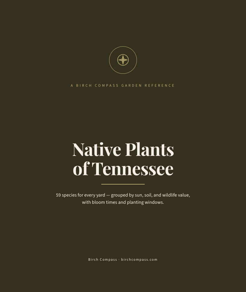The cover of Native Plants of Tennessee
