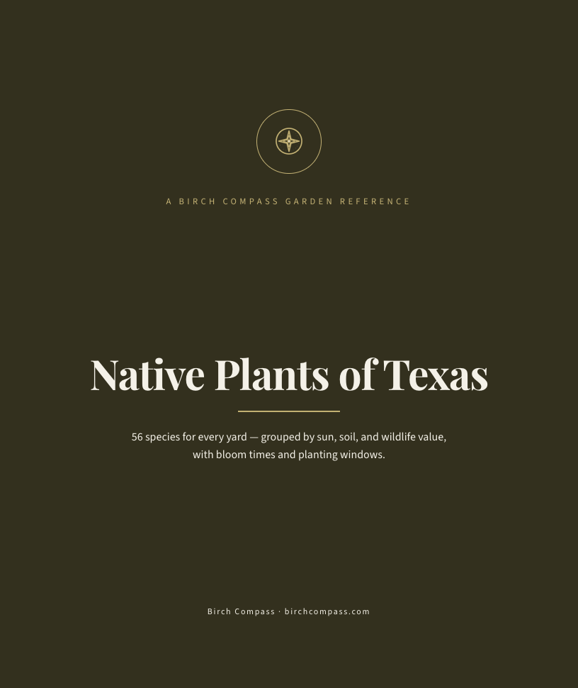 The cover of Native Plants of Texas