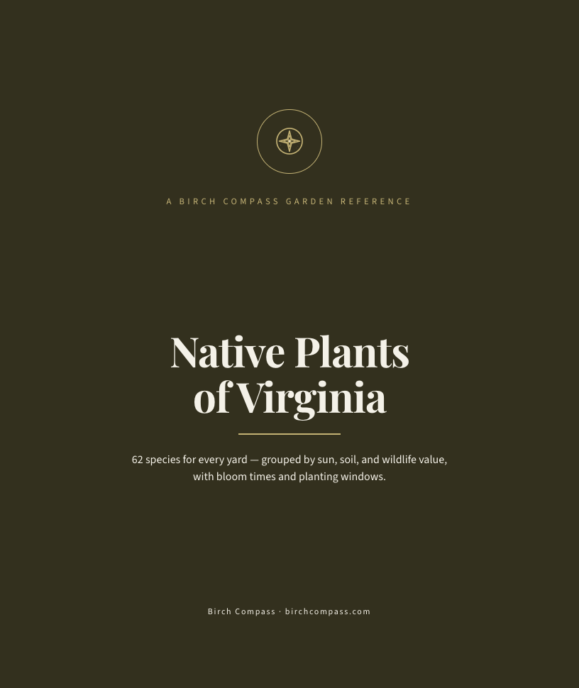The cover of Native Plants of Virginia