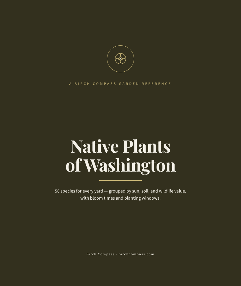 The cover of Native Plants of Washington