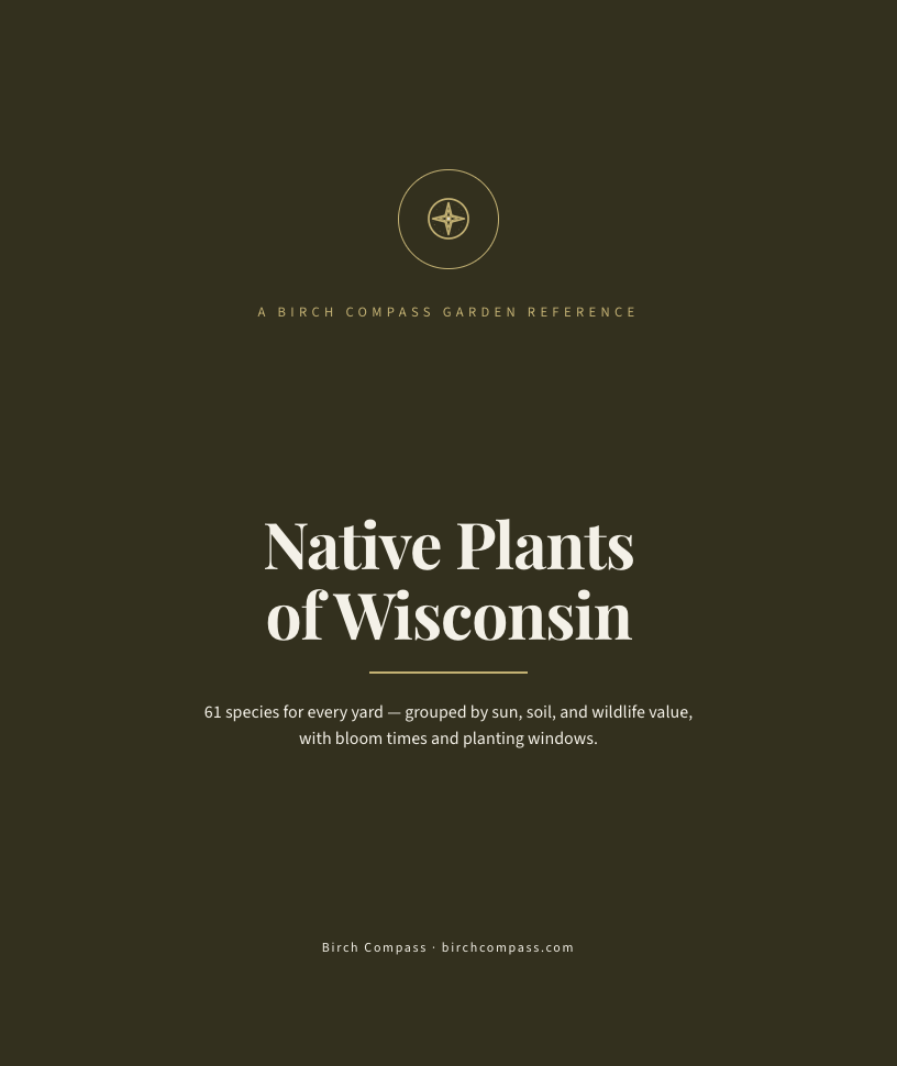 The cover of Native Plants of Wisconsin