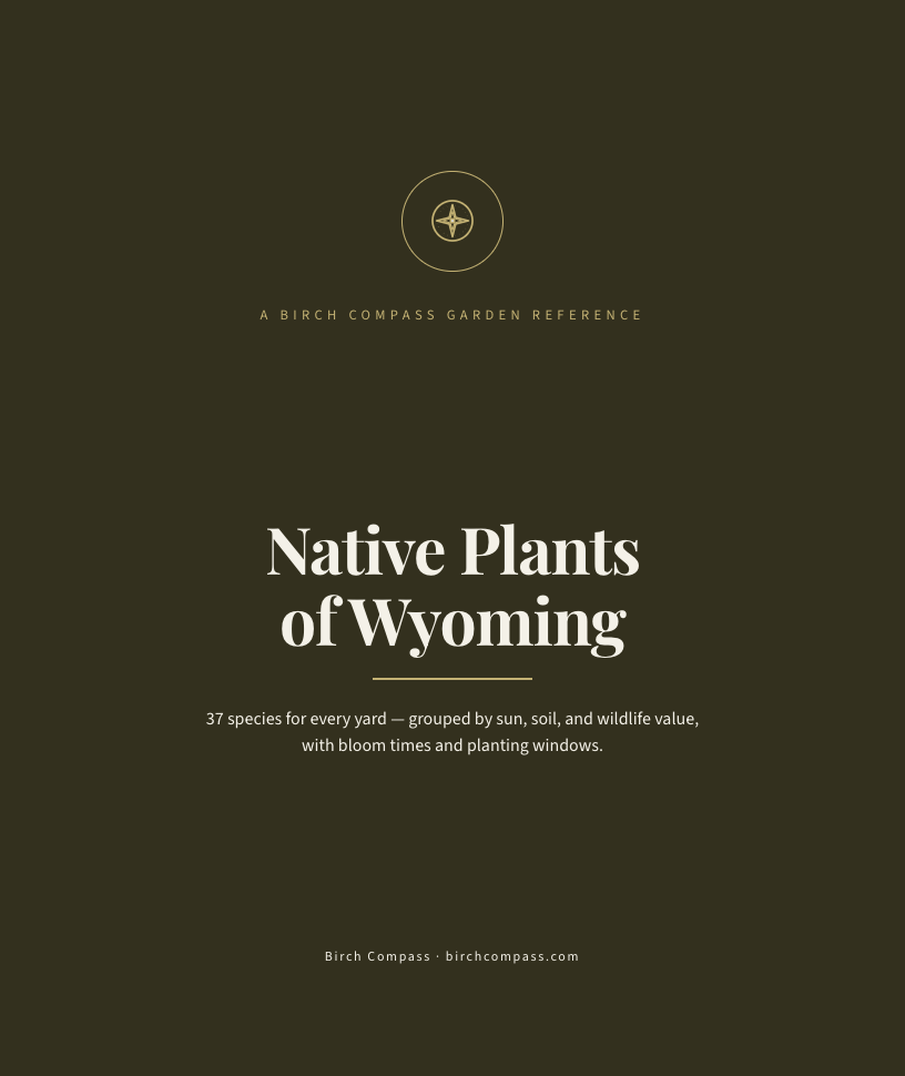The cover of Native Plants of Wyoming