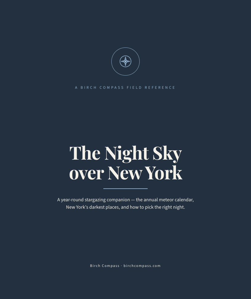 The cover of The Night Sky over New York