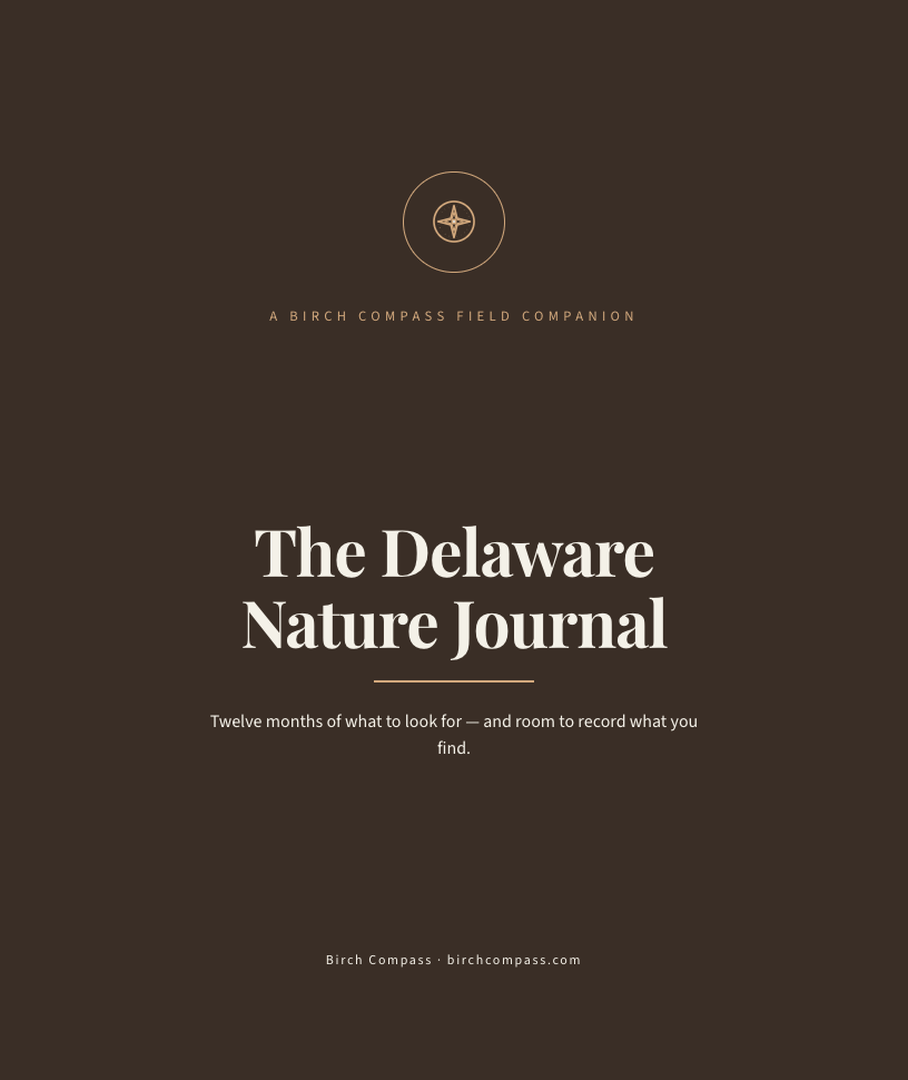 The cover of The Delaware Nature Journal