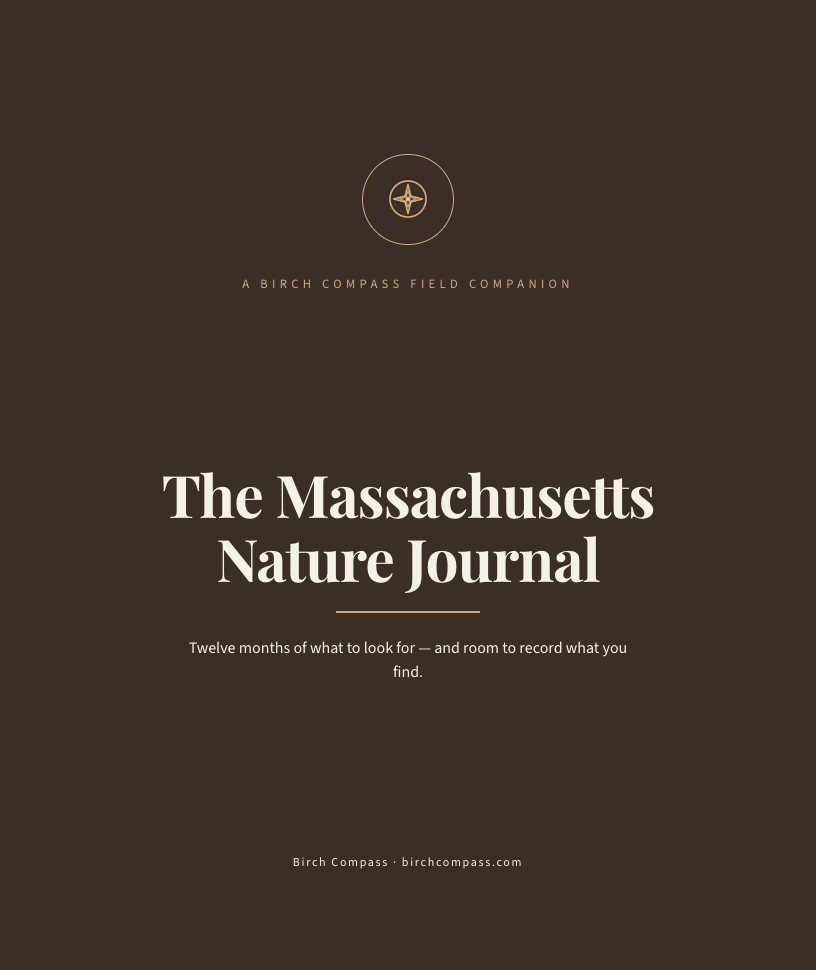 The cover of The Massachusetts Nature Journal