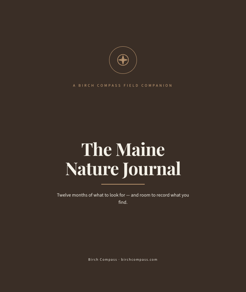 The cover of The Maine Nature Journal