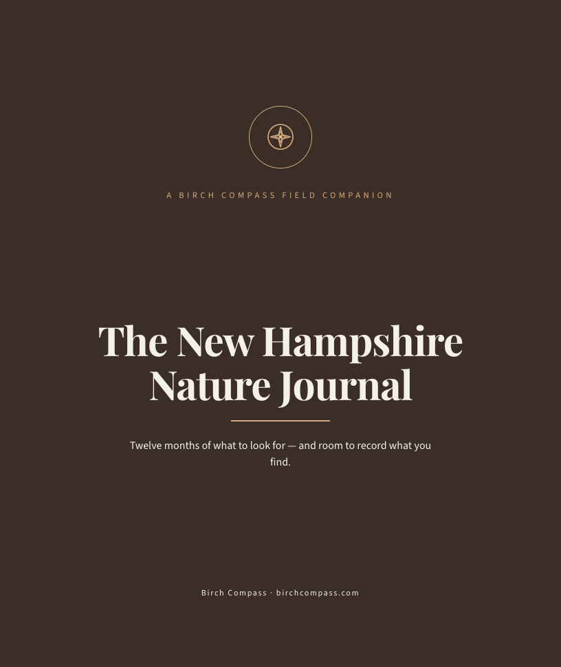 The cover of The New Hampshire Nature Journal
