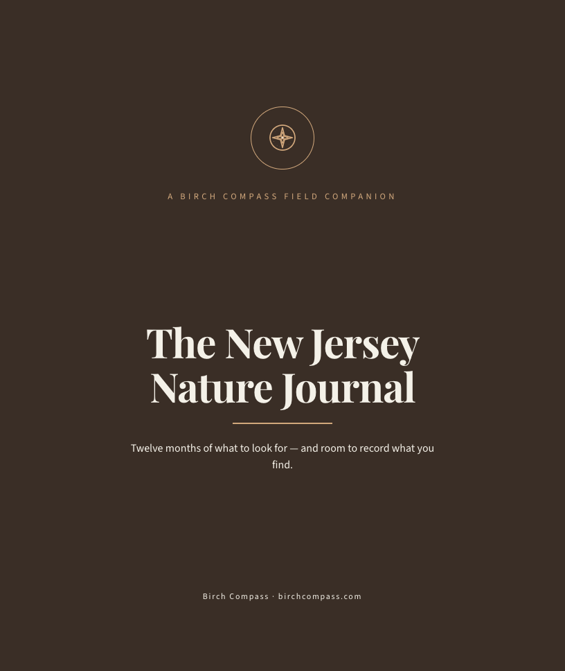 The cover of The New Jersey Nature Journal