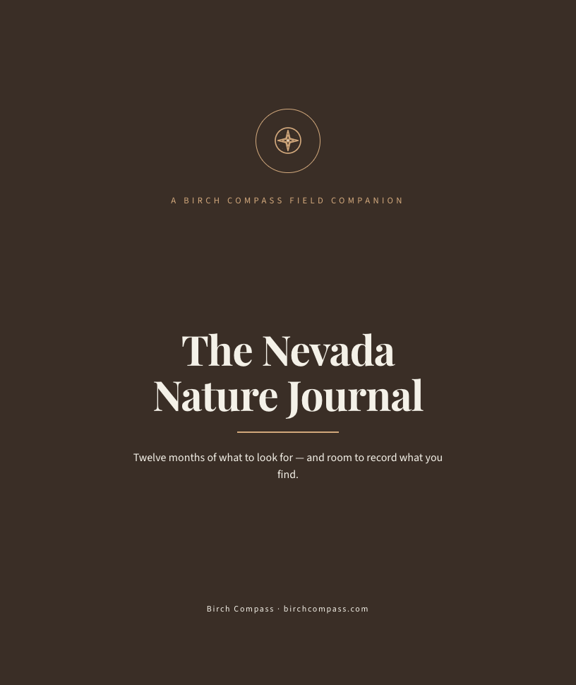 The cover of The Nevada Nature Journal