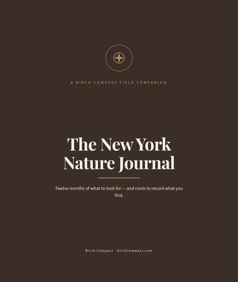The cover of The New York Nature Journal