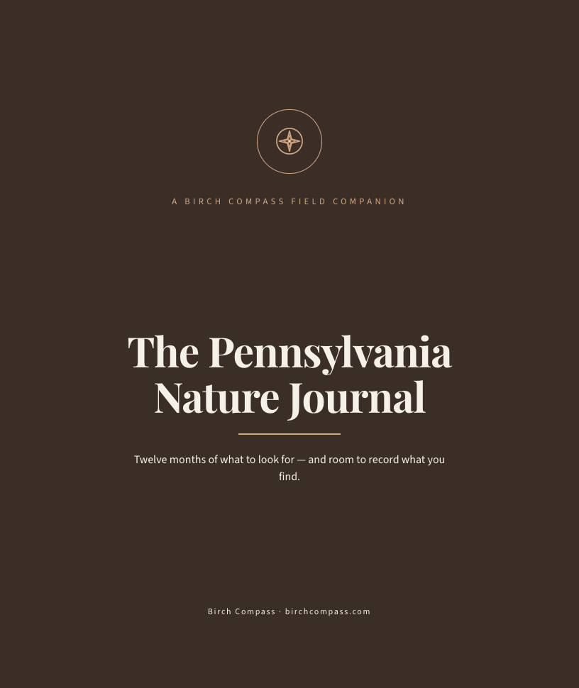 The cover of The Pennsylvania Nature Journal