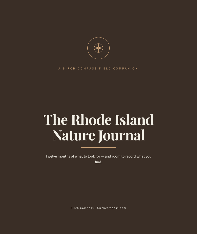 The cover of The Rhode Island Nature Journal