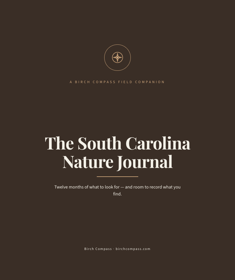 The cover of The South Carolina Nature Journal