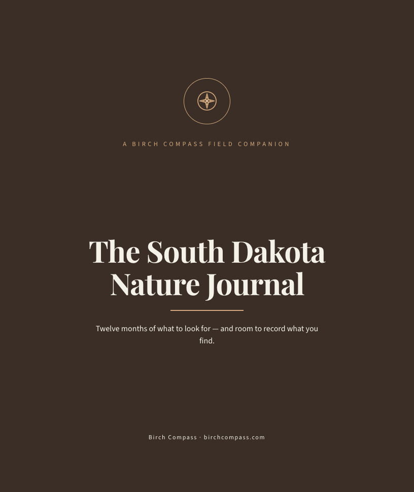 The cover of The South Dakota Nature Journal