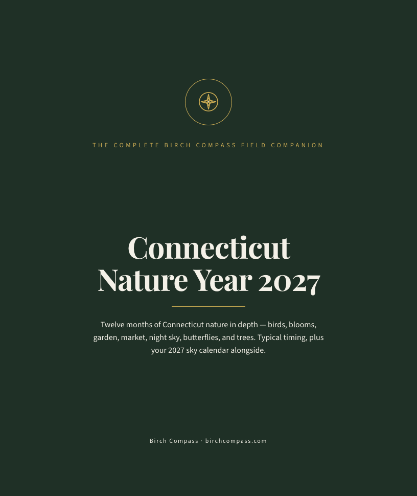 The cover of Connecticut Nature Year 2027