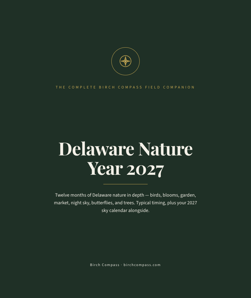 The cover of Delaware Nature Year 2027