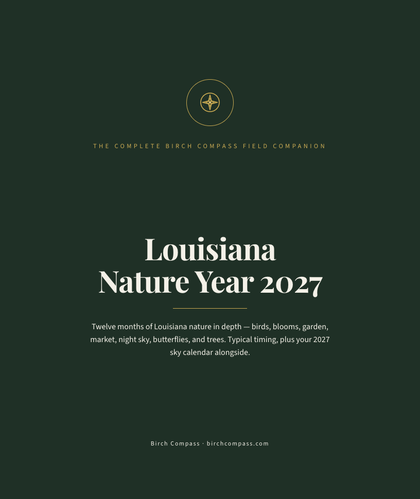 The cover of Louisiana Nature Year 2027