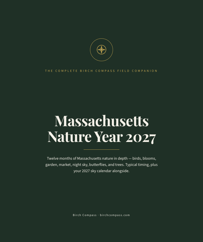 The cover of Massachusetts Nature Year 2027