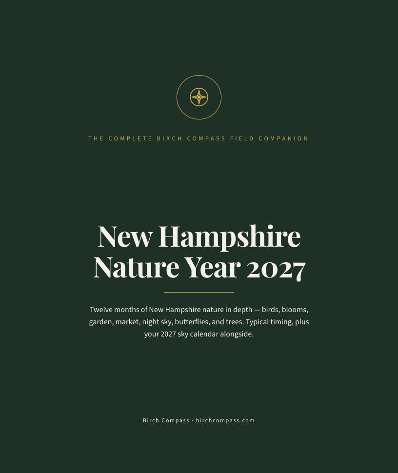 The cover of New Hampshire Nature Year 2027