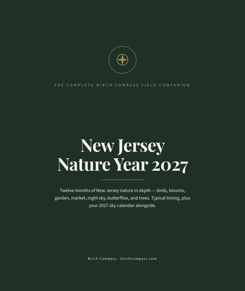 The cover of New Jersey Nature Year 2027