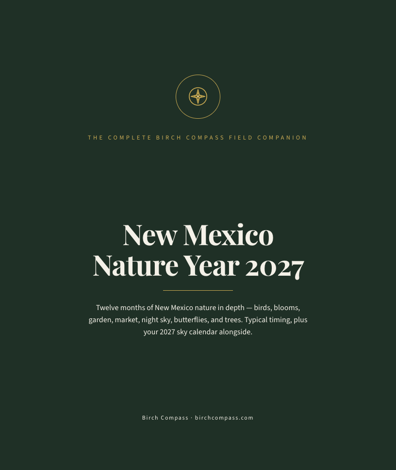 The cover of New Mexico Nature Year 2027