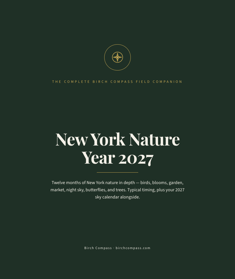 The cover of New York Nature Year 2027