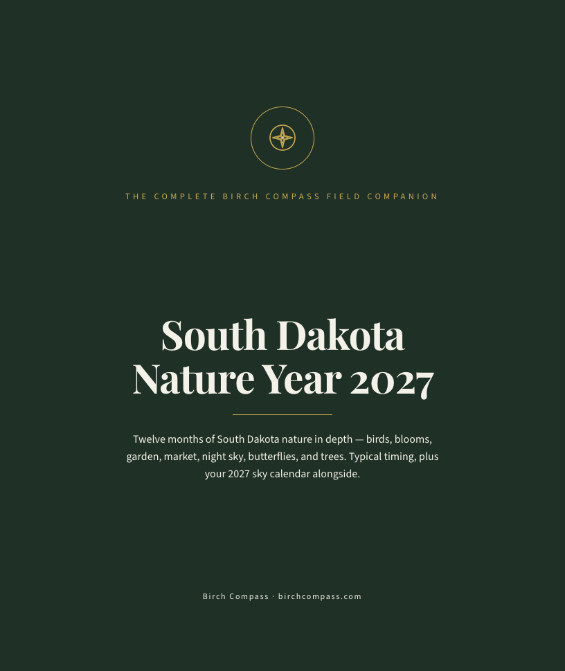The cover of South Dakota Nature Year 2027
